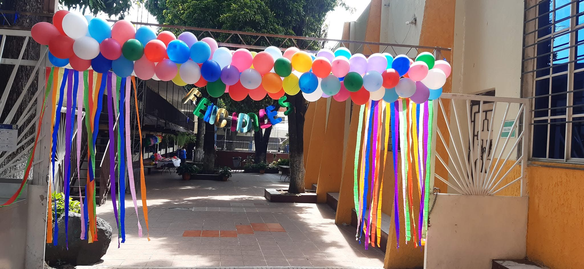 Imagen 5